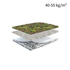 Sempergreen sedummatten compleet pakket lichtgewicht oplossing per m²