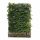 Kant en klaar haag Haagbeuk (Carpinus Betulus) 120x155 cm