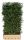 QuickHedge Picea abies - Fijnspar 100x200 cm.